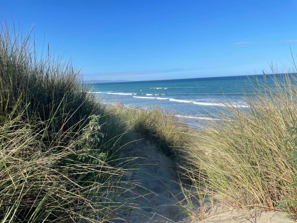 Ocean