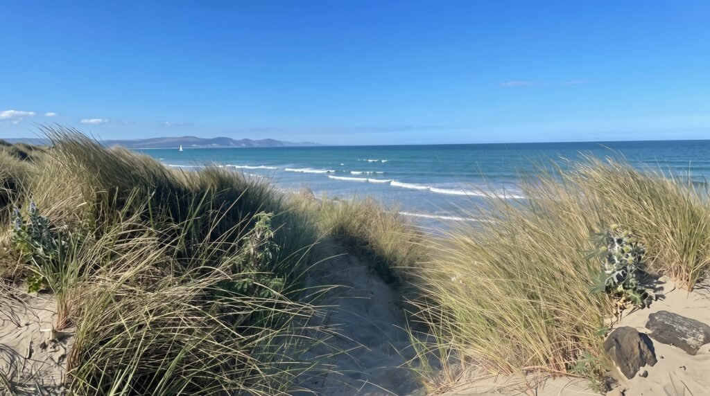 Portugal_Ocean_Lumina_Verde